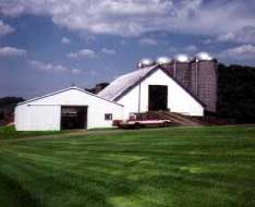 Rebecca's Parents' Diary Farm